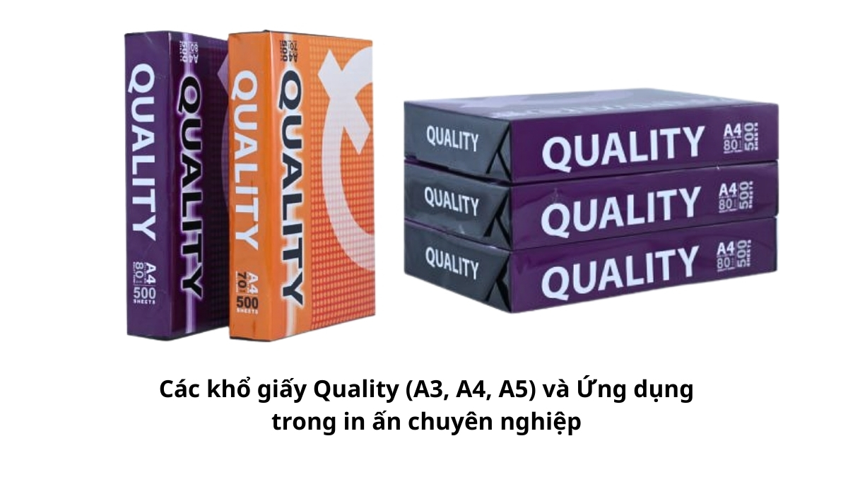 Ba ram giấy Quality với kích thước A3, A4 và A5 được xếp cạnh nhau để so sánh trực quan, minh họa cho bài viết về các khổ giấy Quality (A3, A4, A5) và Ứng dụng trong in ấn chuyên nghiệp.