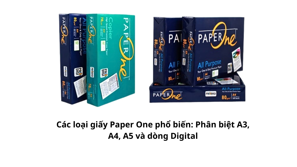 Bộ sưu tập đầy đủ các loại giấy Paper One phổ biến gồm kích thước A3, A4, A5 và dòng Digital chuyên dụng được sắp xếp cạnh nhau để so sánh tổng quan.