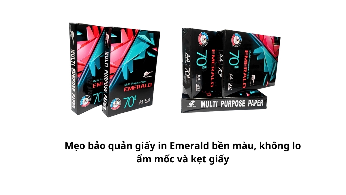 5+ Mẹo bảo quản giấy in Emerald bền màu, không lo ẩm mốc và kẹt giấy hiệu quả nhất. Giúp tiết kiệm chi phí, tăng tuổi thọ máy in. Xem hướng dẫn từ Phúc Thịnh!