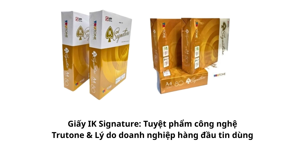 Ram giấy IK Signature chính hãng với bao bì thiết kế sang trọng, định lượng chuẩn dành cho văn phòng.