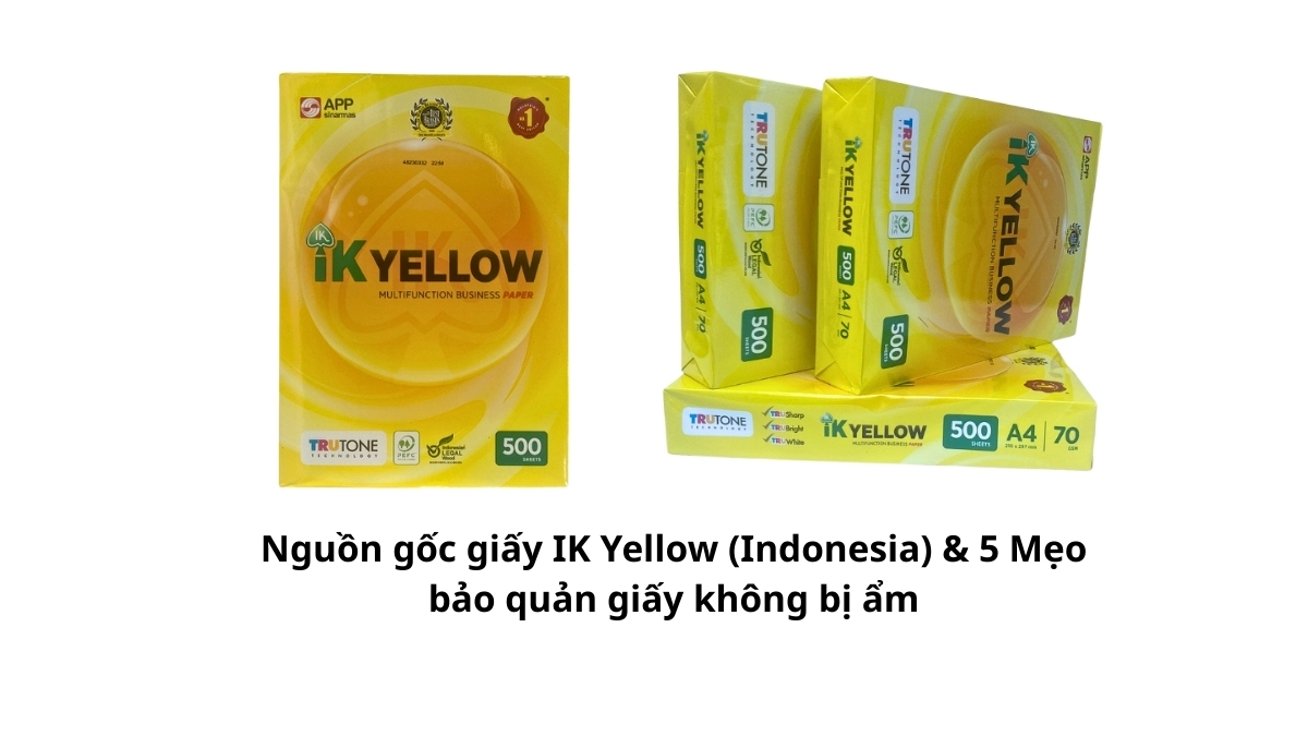 Nhà máy sản xuất giấy IK Yellow thuộc tập đoàn APP tại Indonesia với dây chuyền công nghệ hiện đại.