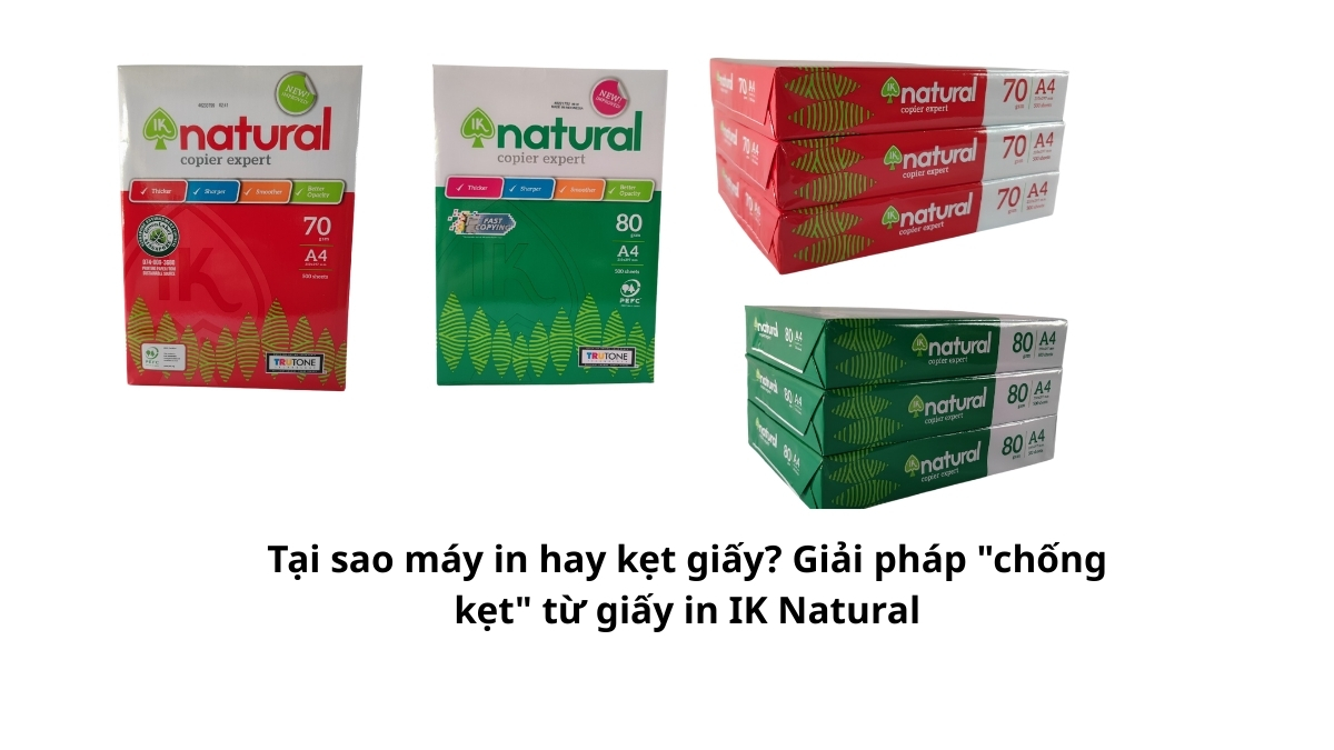 Khám phá nguyên nhân Tại sao máy in hay kẹt giấy? Giải pháp "chống kẹt" từ giấy in IK Natural giúp vận hành mượt mà, bảo vệ máy. Mua giá sỉ tại PT Phúc Thịnh!