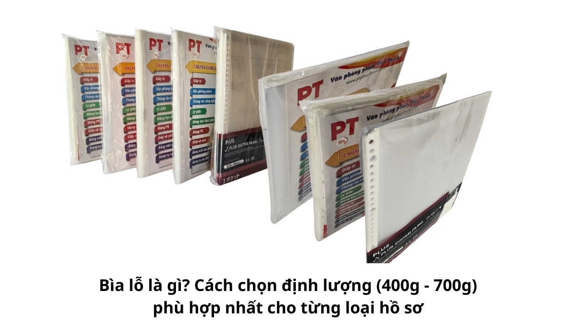 Giải đáp bìa lỗ là gì và các loại định lượng bìa lỗ phổ biến từ 400g đến 700g