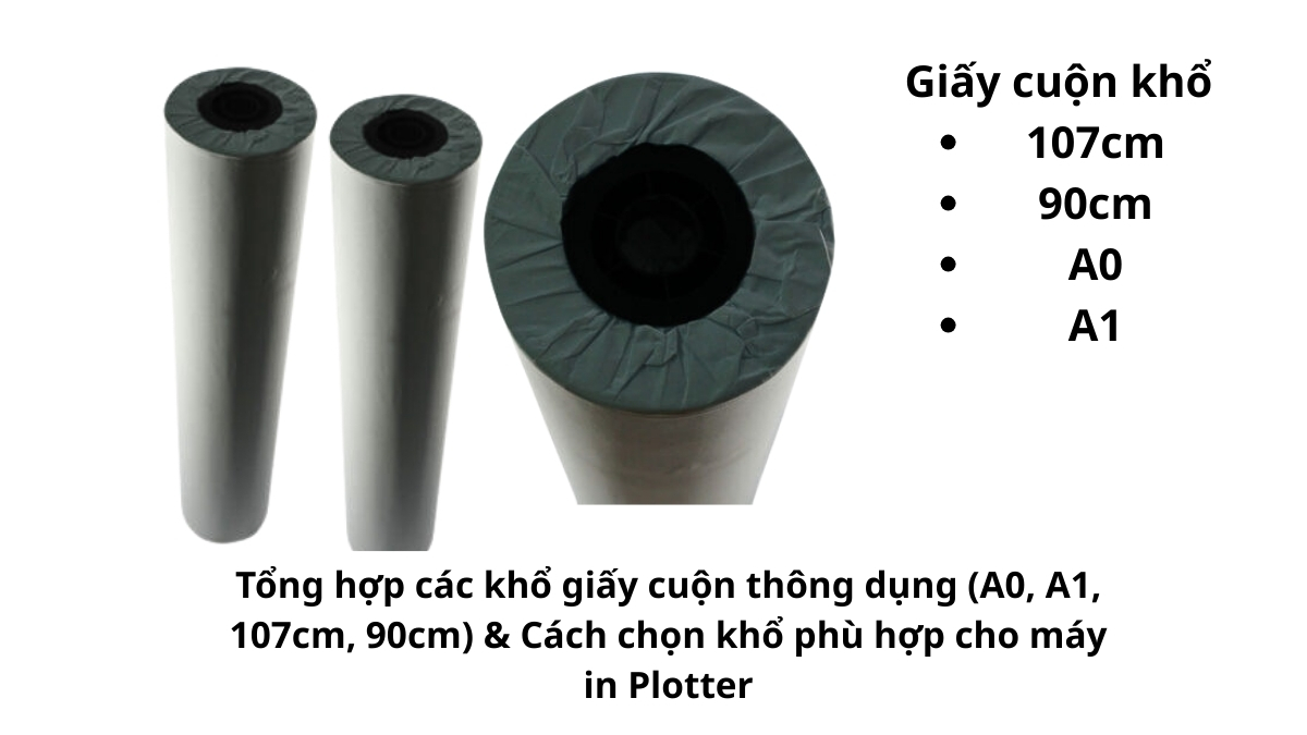 Hình ảnh so sánh chiều cao thực tế của các khổ giấy cuộn thông dụng (A0, A1, 107cm, 90cm) được xếp cạnh nhau tại kho hàng.