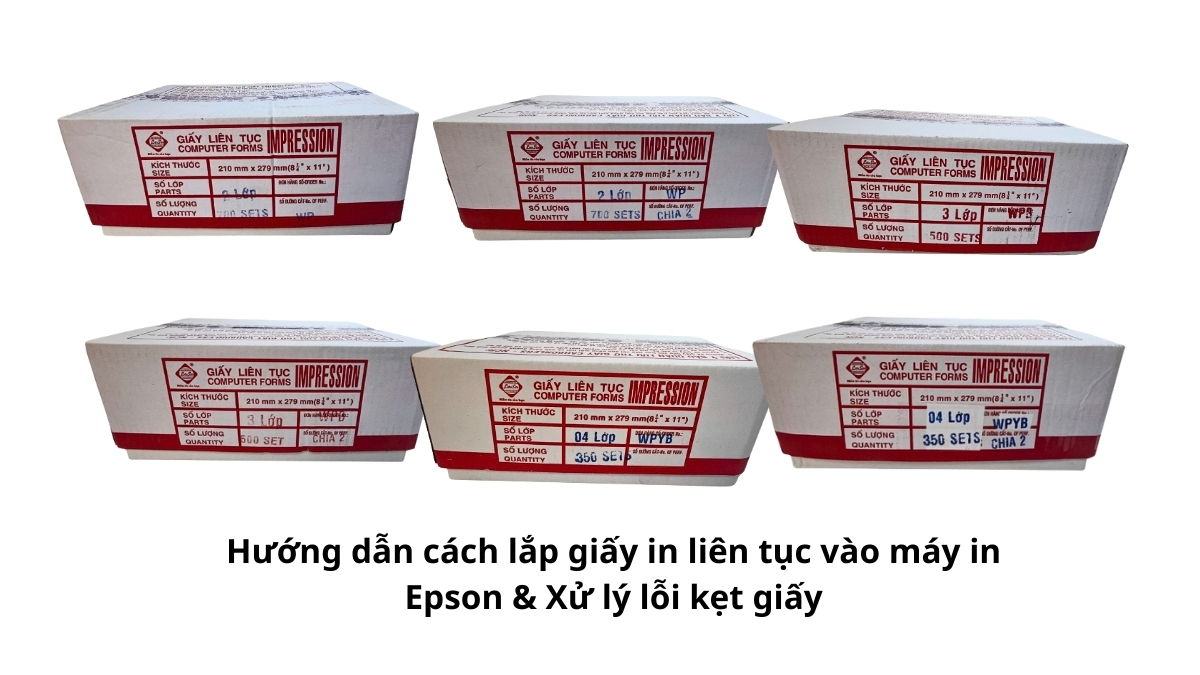 Kỹ thuật viên đang thực hiện các bước lắp giấy in liên tục vào máy in kim Epson (dòng LQ phổ biến) đúng kỹ thuật để chuẩn bị in ấn.