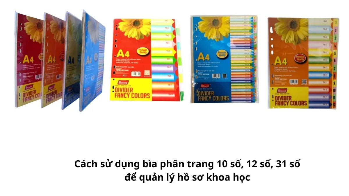 Hướng dẫn chi tiết cách sử dụng bìa phân trang 10 số, 12 số, 31 số để quản lý hồ sơ khoa học trong văn phòng hiện đại.