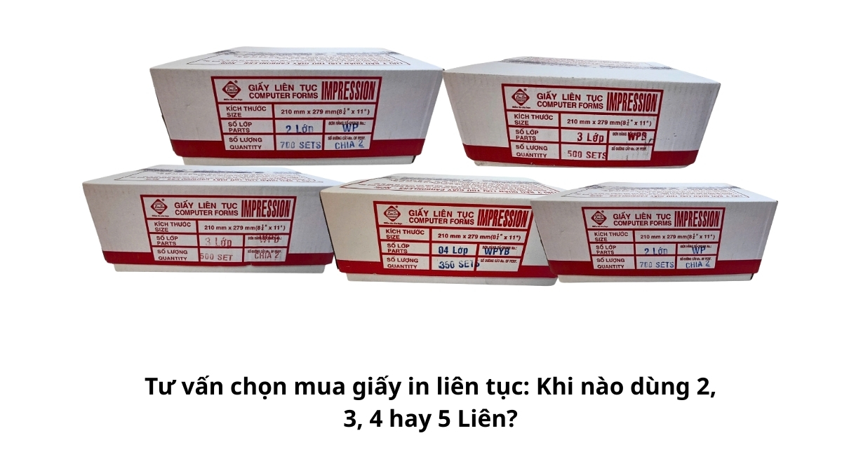 Sơ đồ tư vấn chọn mua giấy in liên tục giúp doanh nghiệp xác định chính xác khi nào nên dùng loại 2, 3, 4 hay 5 liên cho từng bộ phận.