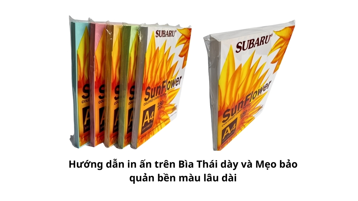 Thành phẩm bìa hồ sơ sắc nét, mực bám đều minh họa cho kết quả sau khi áp dụng hướng dẫn in ấn trên Bìa Thái dày và Mẹo bảo quản bền màu lâu dài.